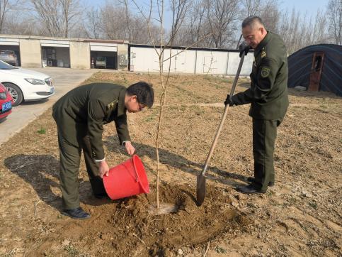 邢临高速公路公司鸡泽收费站开展“清风成林(临)”植树种花活动.jpg 邢临高速公路公司鸡泽收费站开展“清风成林(临)”植树种花活动.jpg