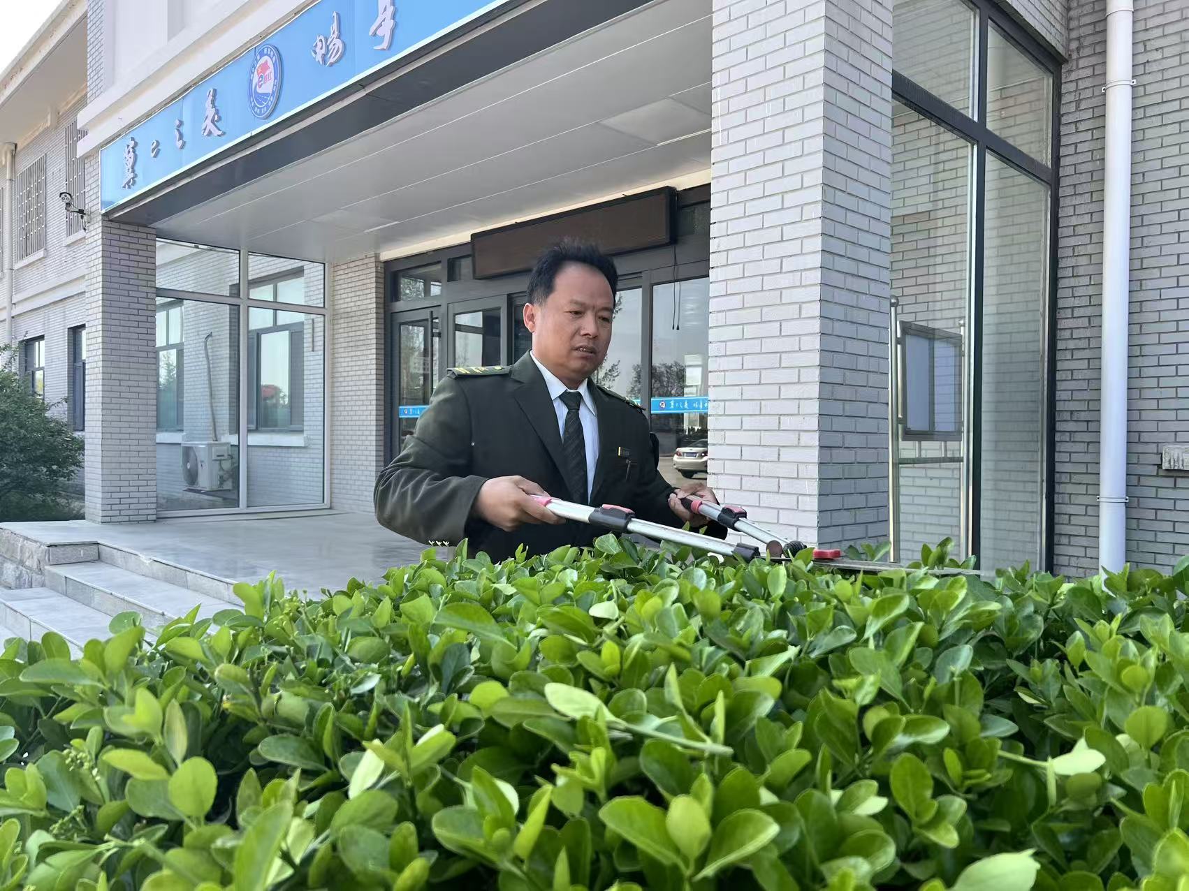 一剪春风里  绿意正当时