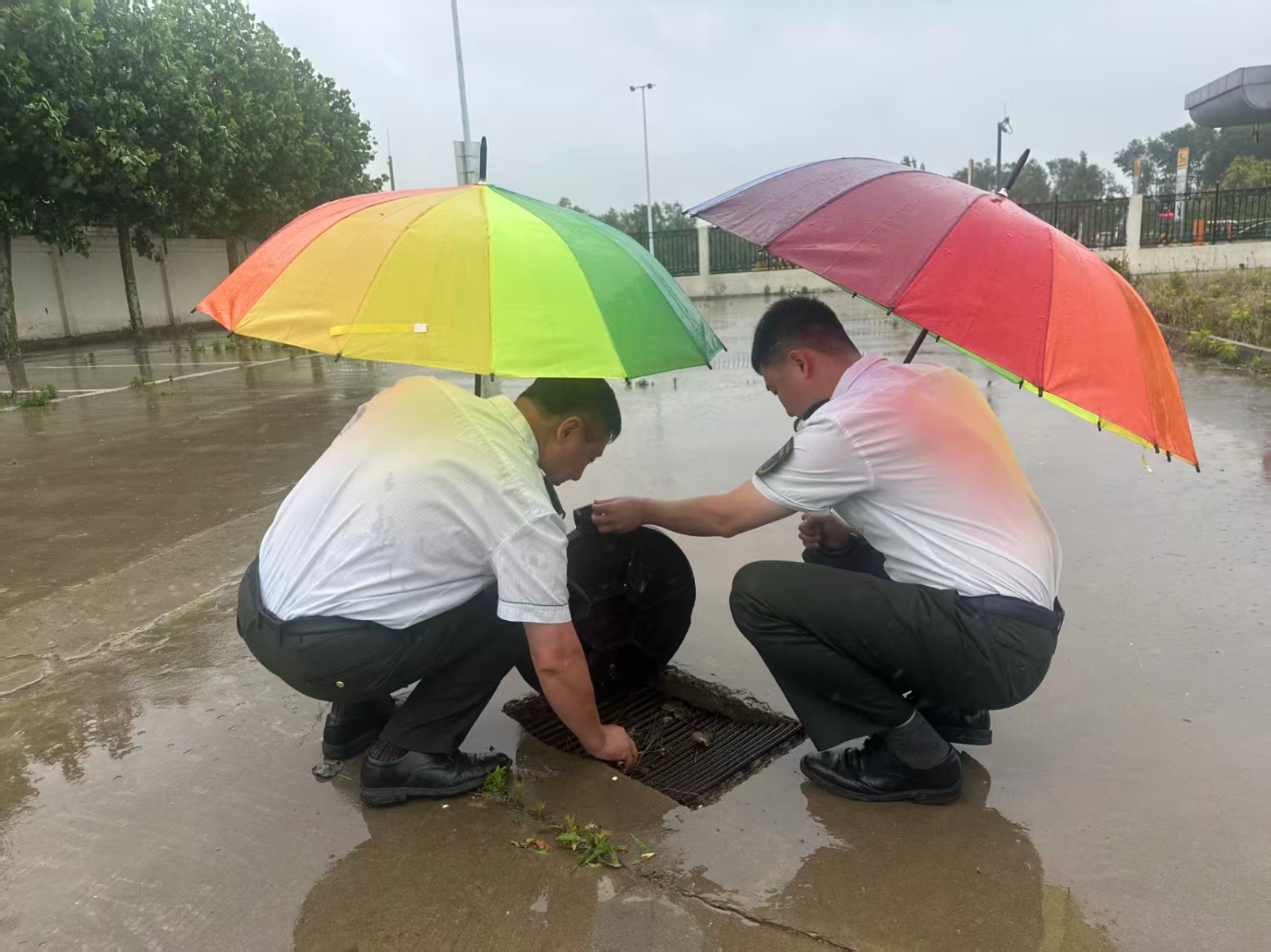1微信图片_20260525164859_386_137.jpg
