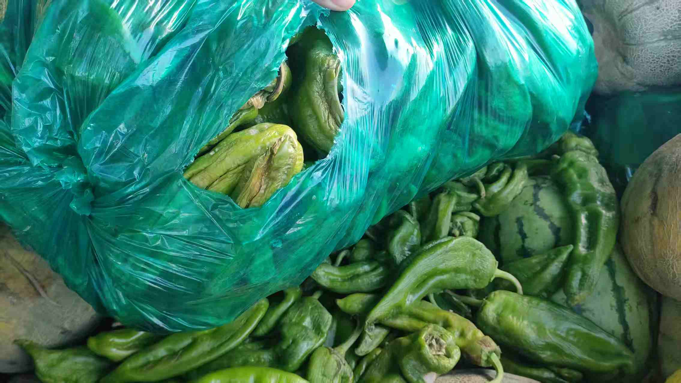 微信图片_20260705131017_692_12.jpg