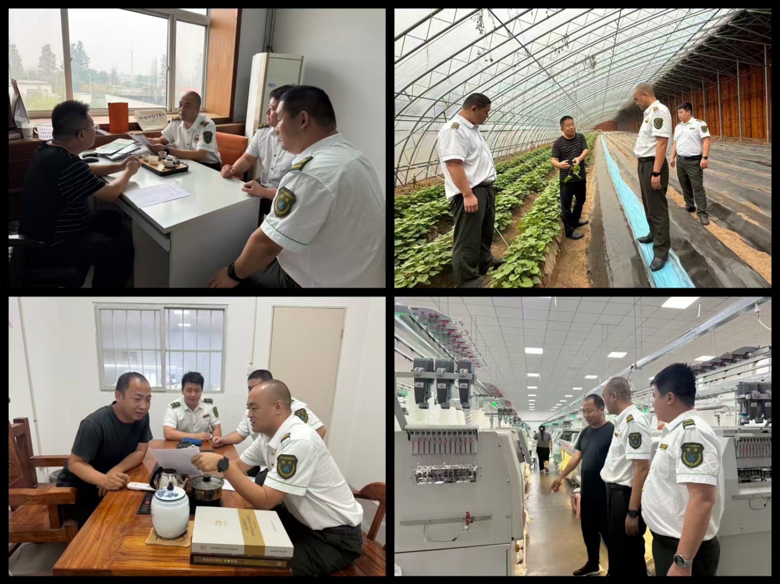 微信图片_20261012181158_604_137.jpg